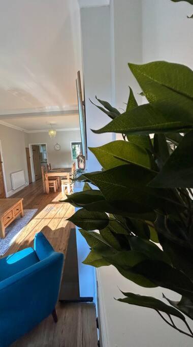 Holiday home 2 Bedroom Full Of Character *